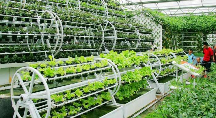 Аквапоника