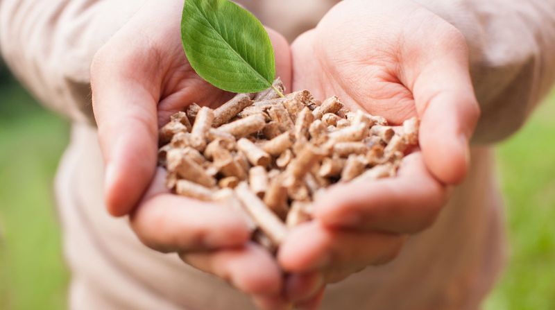 Биотопливо