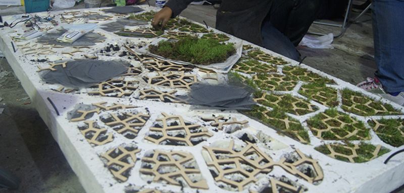 Солнечные панели из мха