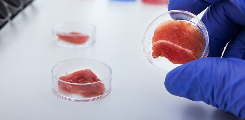 Мясо из пробирки
