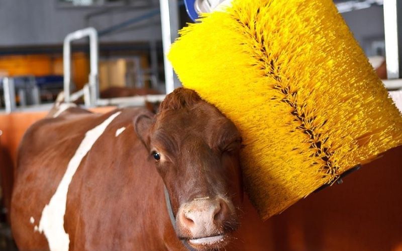 Маятниковая щетка