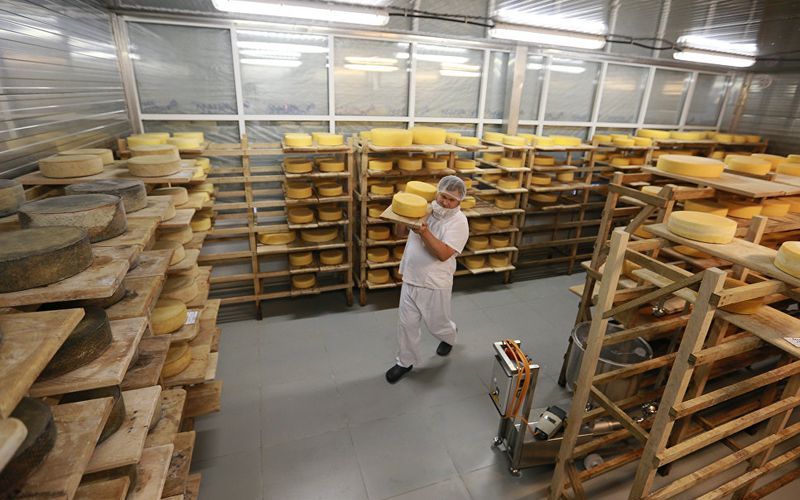 Сыроварение