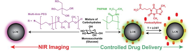 Микромолекулы углерода для доставки лекарств