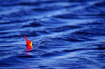 Оптимальный диаметр шпули для болонской удочки равен 2500