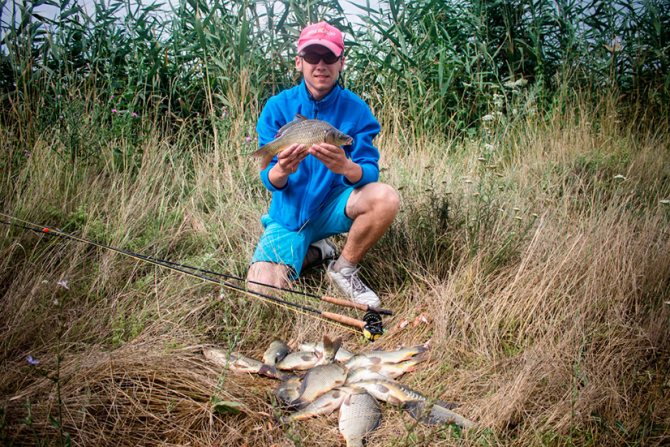 При какой температуре нереститься карп?