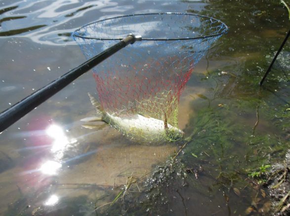 Рыбалка на Святом озере