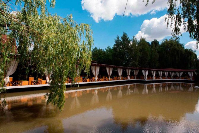 Рыбные базы и хозяйства