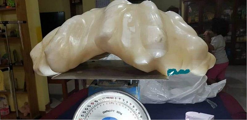 Натуральная жемчужина - рекордсмен