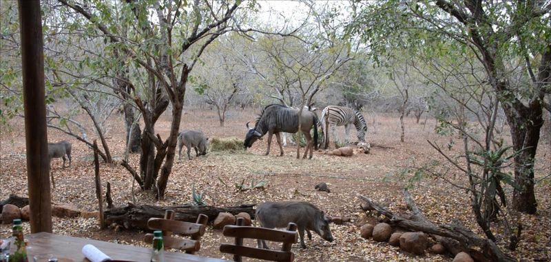 Марлот-Парк