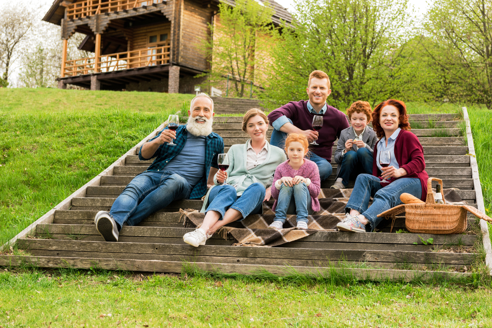 семья на пикнике