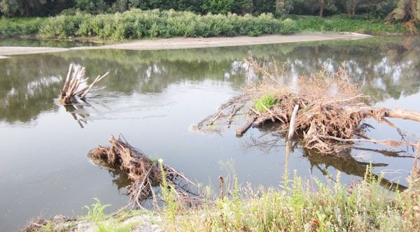 Серьезный коряжник, завал на реке