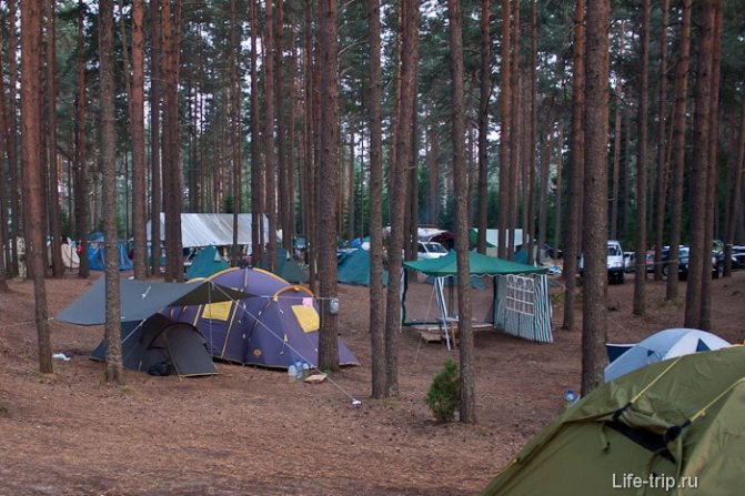 Серф лагерь Волго.