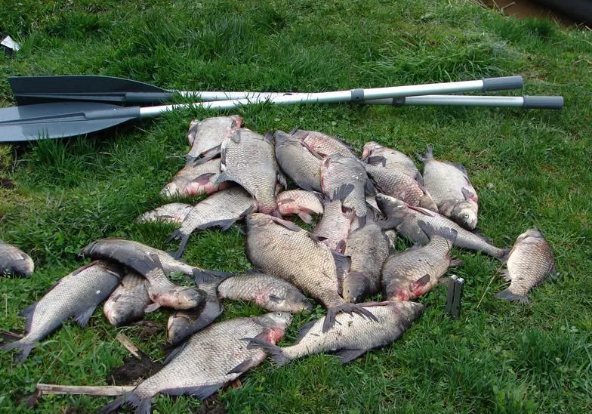 шатура рыбалка