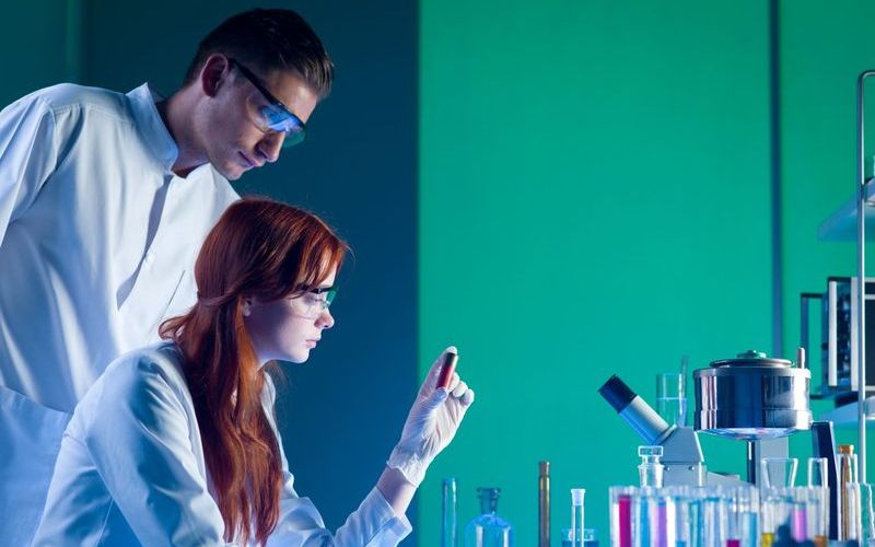 Драг-дизайнер