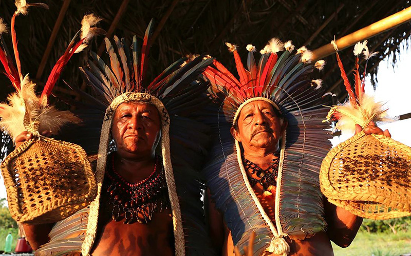 Перчатки с муравьями