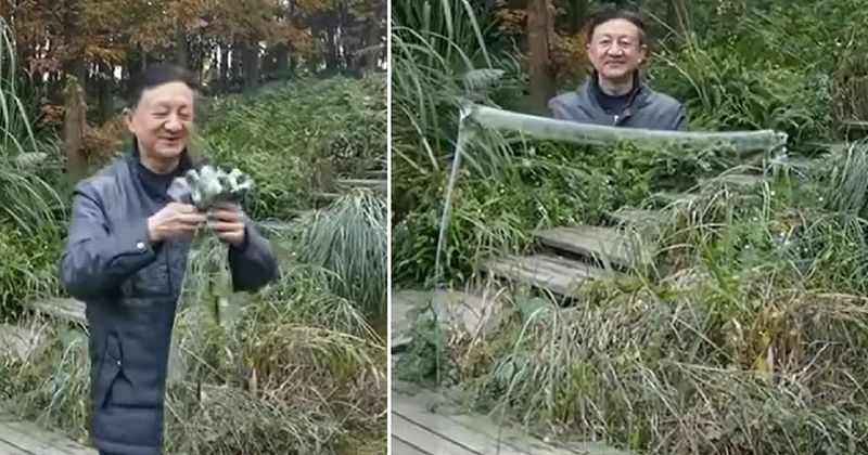 Плащ-невидимка