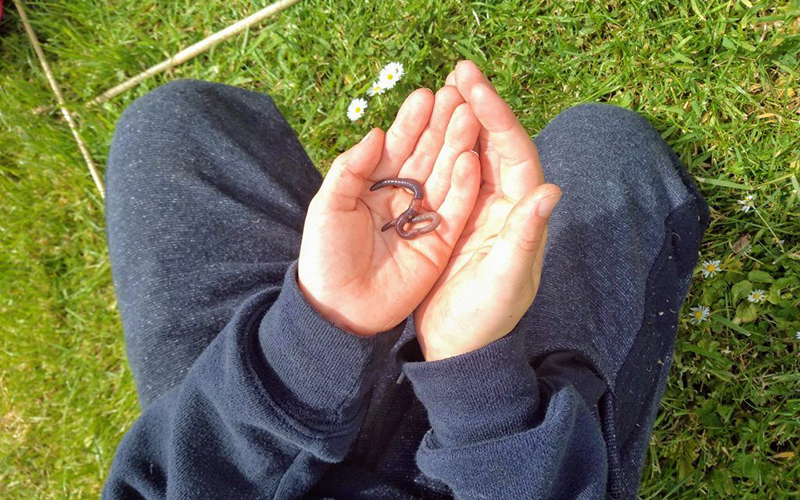 Ловля червей