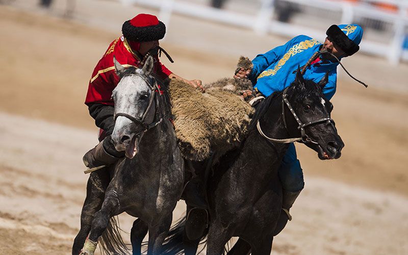 Скачки байга