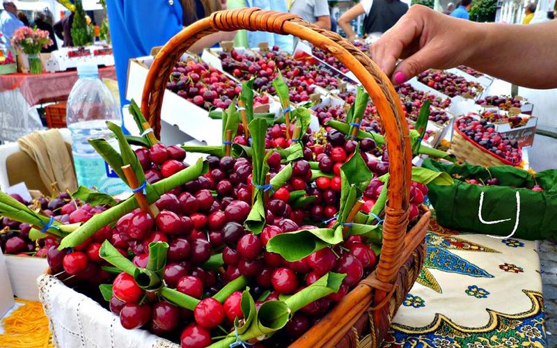 Праздник черешни