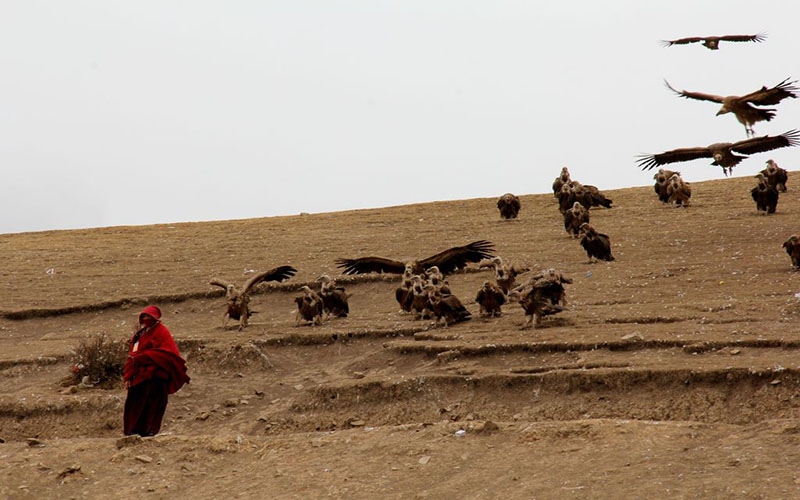 Необычные похоронные традиции