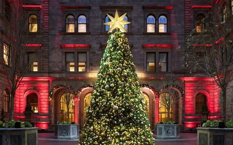 Звезда на рождественской елке