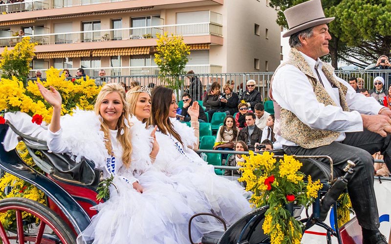 День мимозы