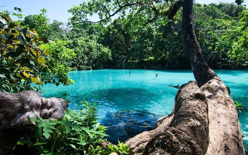 Голубая лагуна в пригороде Порт-Антонио