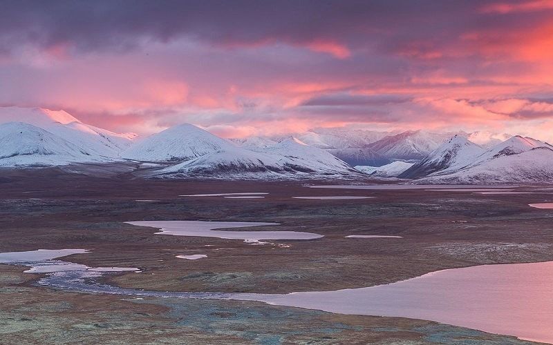 Тундра – мертвая земля