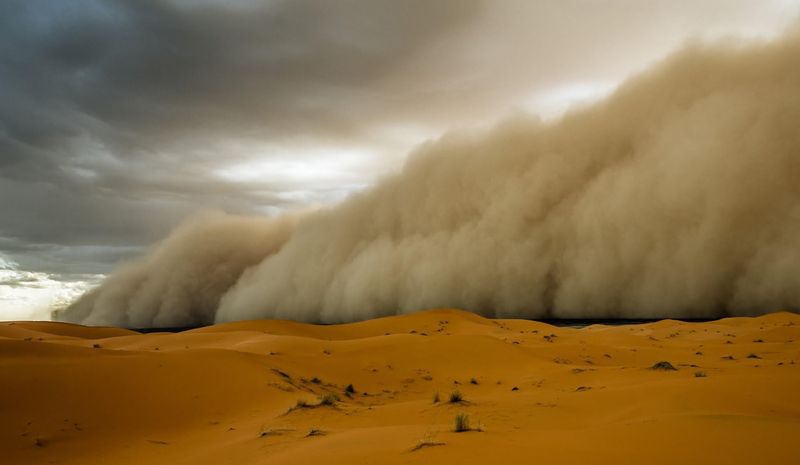 Песчаные бури