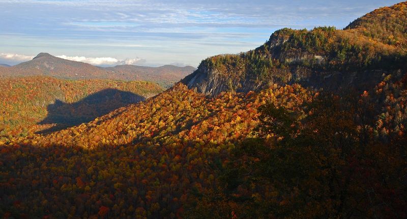 Медвежья тень