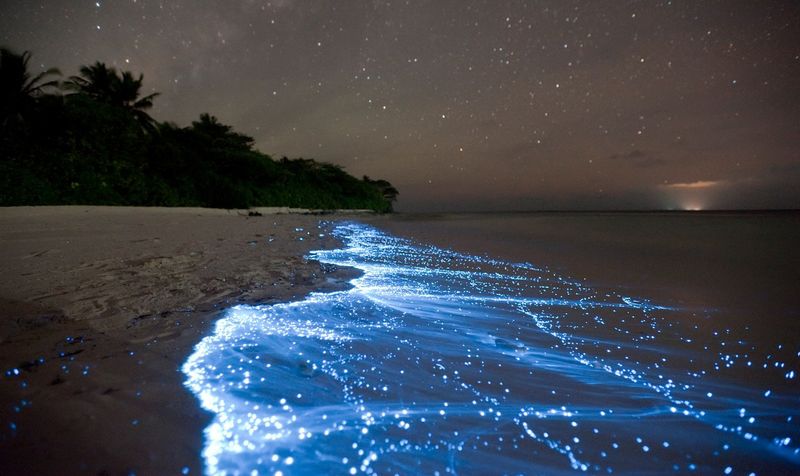 Светящиеся пляжи