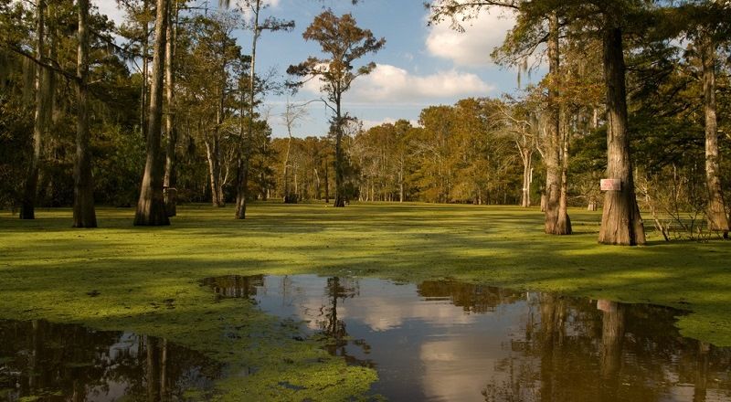 Атчафалайя