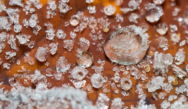 Ледяной дождь