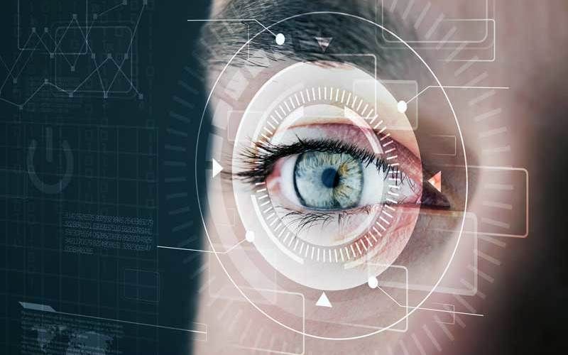 Орган зрения - глаза