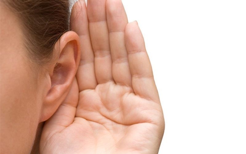 Орган слуха - уши