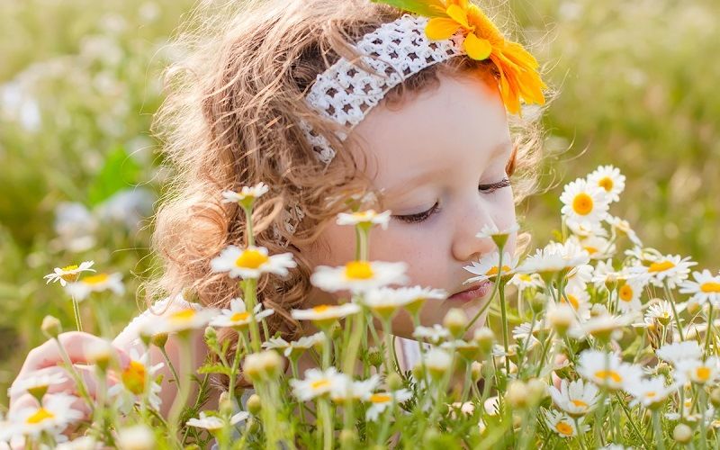 Нос – орган обоняния