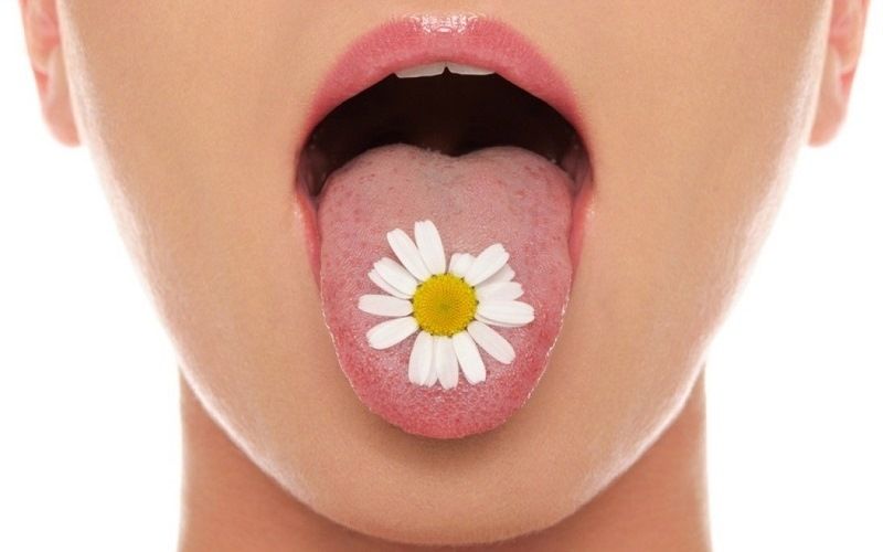 Язык – орган пищеварения