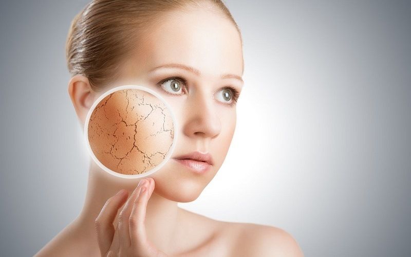 Орган осязания - кожа