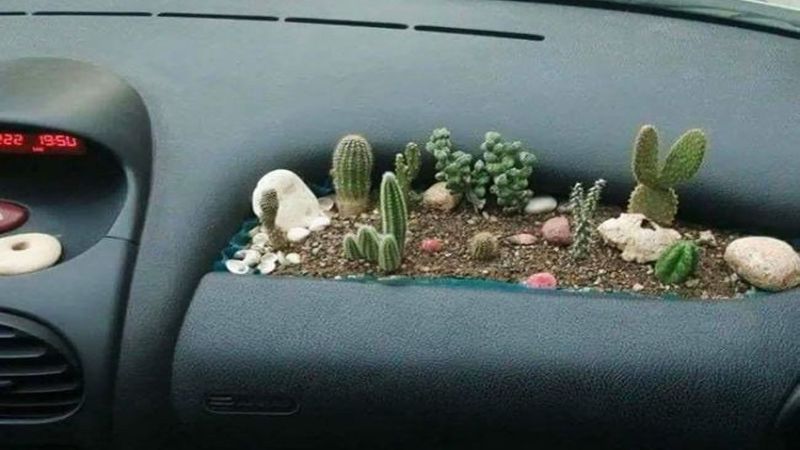Клумба в авто