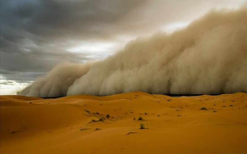 Буря в пустыне