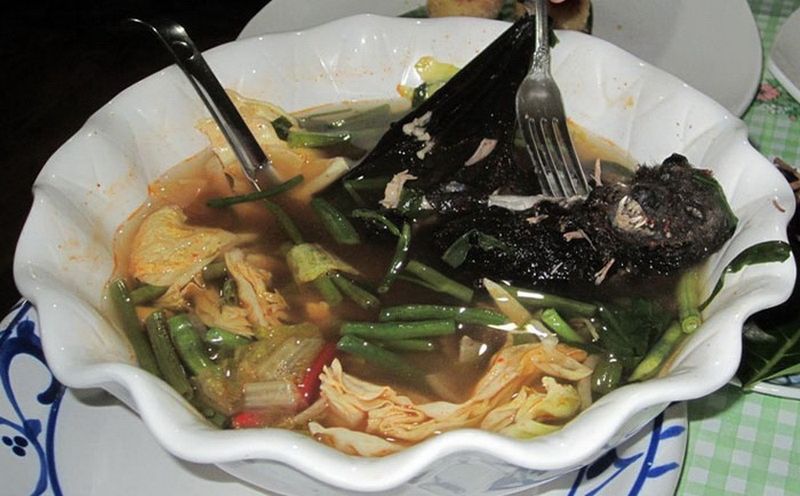 Блюда из летучих мышей