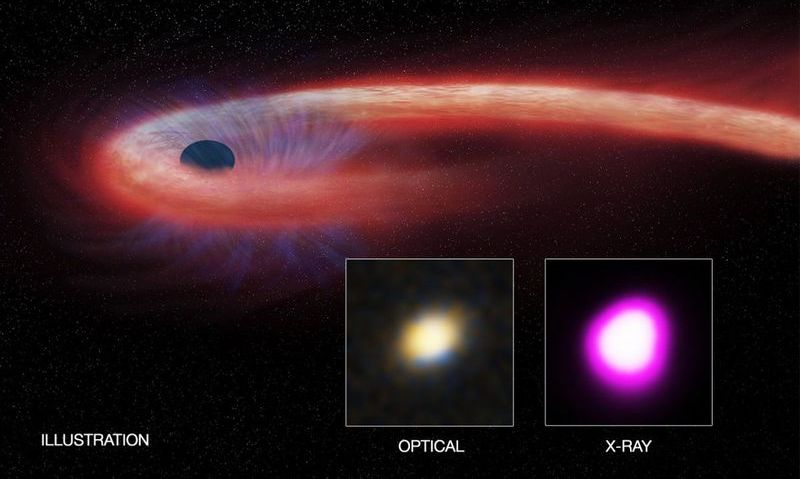 Поглощение звезды черной дырой