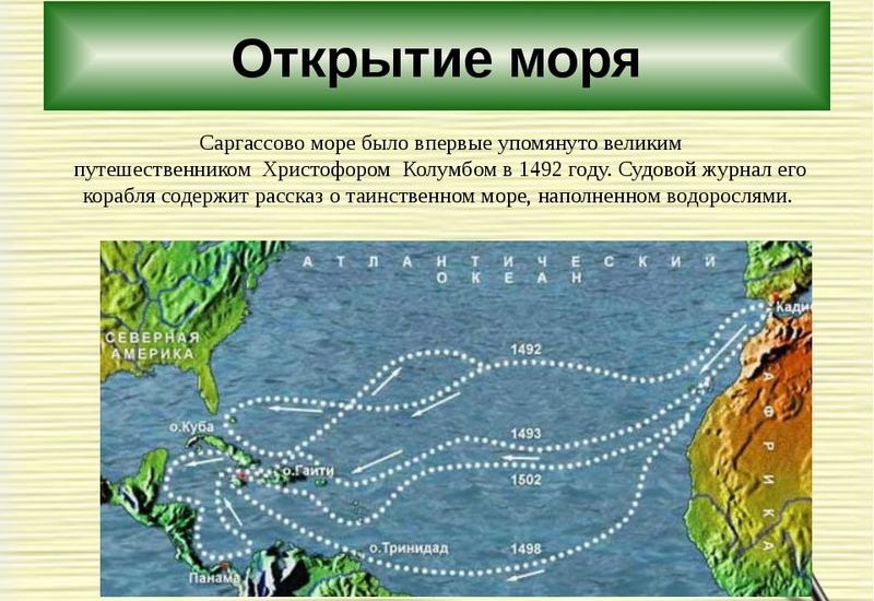 Саргассово море
