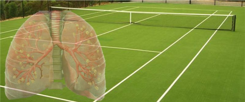 Площадь легких равнозначна теннисному корту