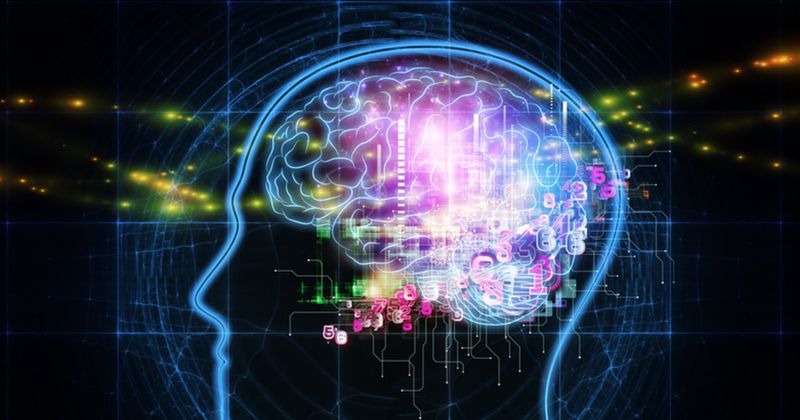 Мозг человека