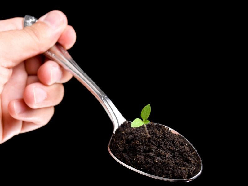 Земля в чайной ложке