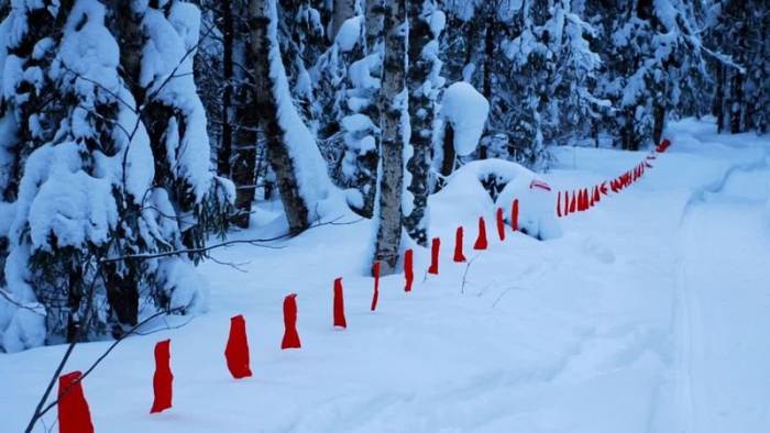 Флажки для облавной охоты на волков