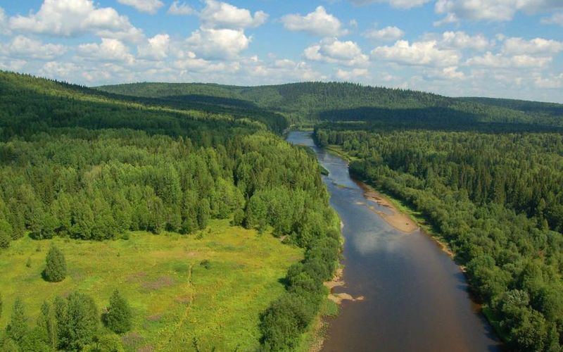 Сибирская тайга