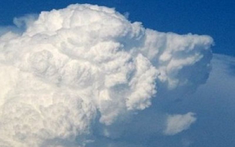 Облака как животные