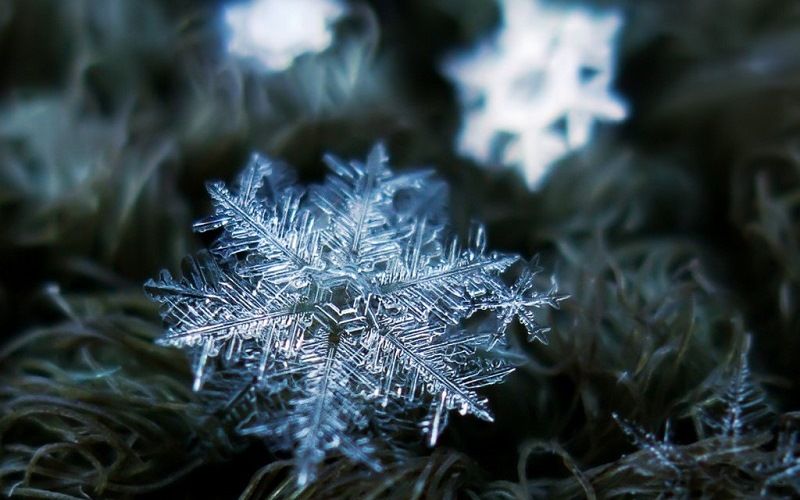 Снежные кристаллы